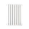 Tongshengda TS6030 Wall-Mounted Steel Hydronic Radiator