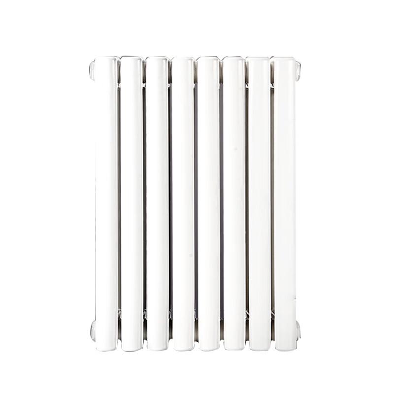 Tongshengda TS6030 Wall-Mounted Steel Hydronic Radiator