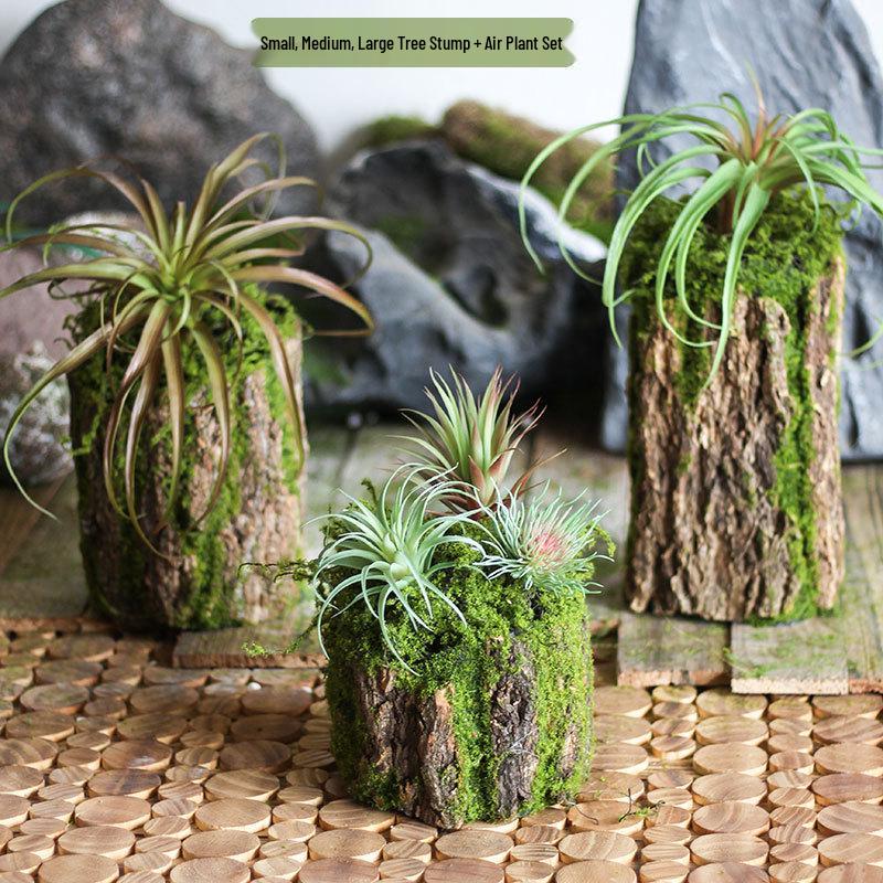 Forest Style Artificial Tree Stump with Moss Bark - Kindergarten and Country Style Decorative Ornament, Perfect for Landscaping or Inserting Flowers.