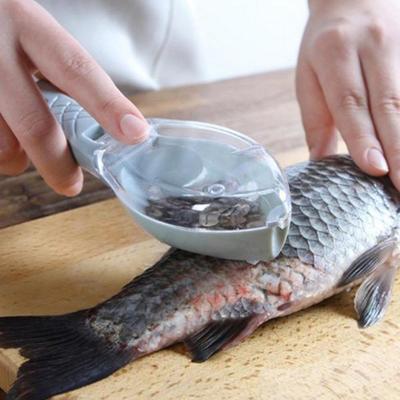 1 stücke Küche Werkzeuge Kunststoff Fisch Schuppen Pinsel Fisch Werkzeuge Schnelle Fisch Haut Pinsel Reinigung