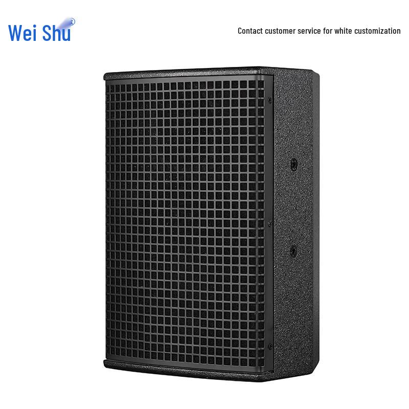 Weishu YE10 Professional 10-inch Full-Range Passive Speaker (CN version)