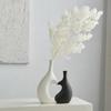 A Set Elegant Irregular Shape Vase Heart-Shaped Water Cultivation Vase Flower Arrangement Vase