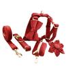 Cherry Red Velvet Dog Collar and Leash Set