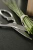 ZWILLING Twin Select Satin Kitchen All Stainless Forged Japanese Scissors, Steel, [Official Product] 41470-000
