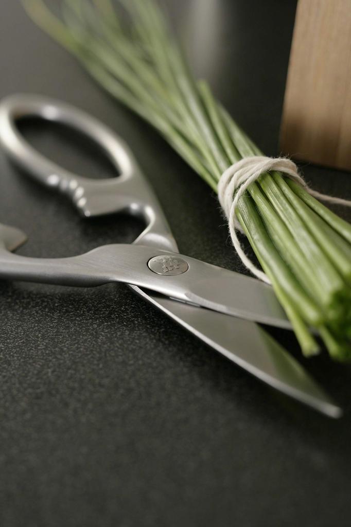 ZWILLING Twin Select Satin Kitchen All Stainless Forged Japanese Scissors, Steel, [Official Product] 41470-000