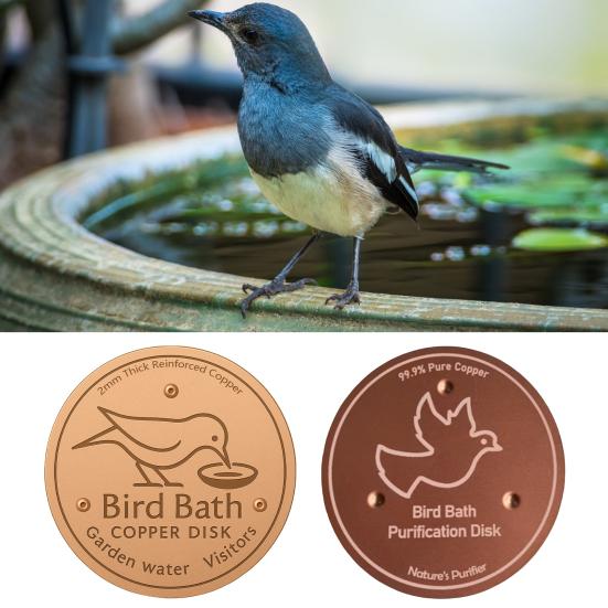 Hummingbird Bath Copper Disk Easy To Use Universal Fit Pure Copper Cleaning Disk with Triple-Point Support