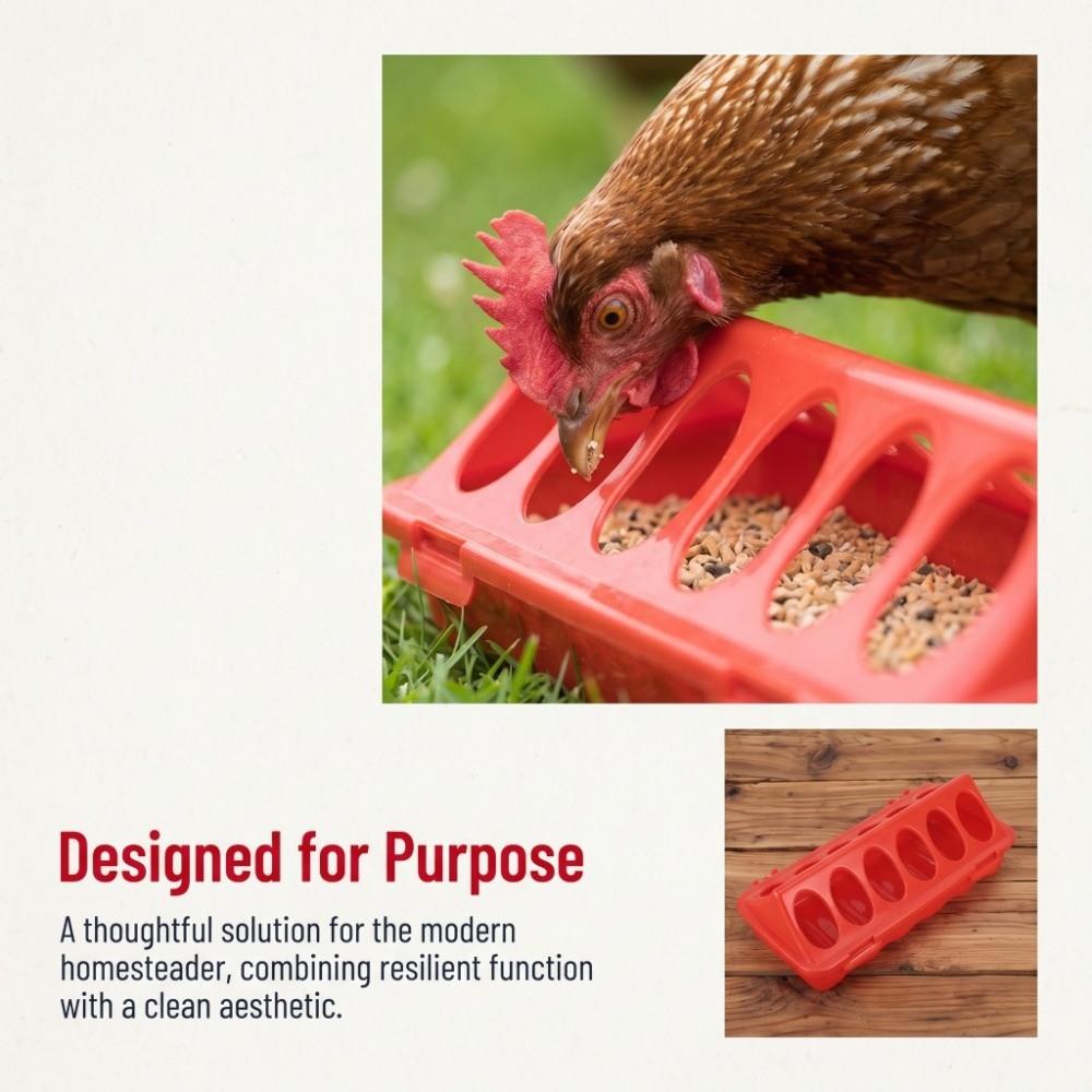 5Pcs Plastic Anti Spill Feeding Tray Sturdy Small Poultry Feeder Easy to Use Chick Feeder Quail