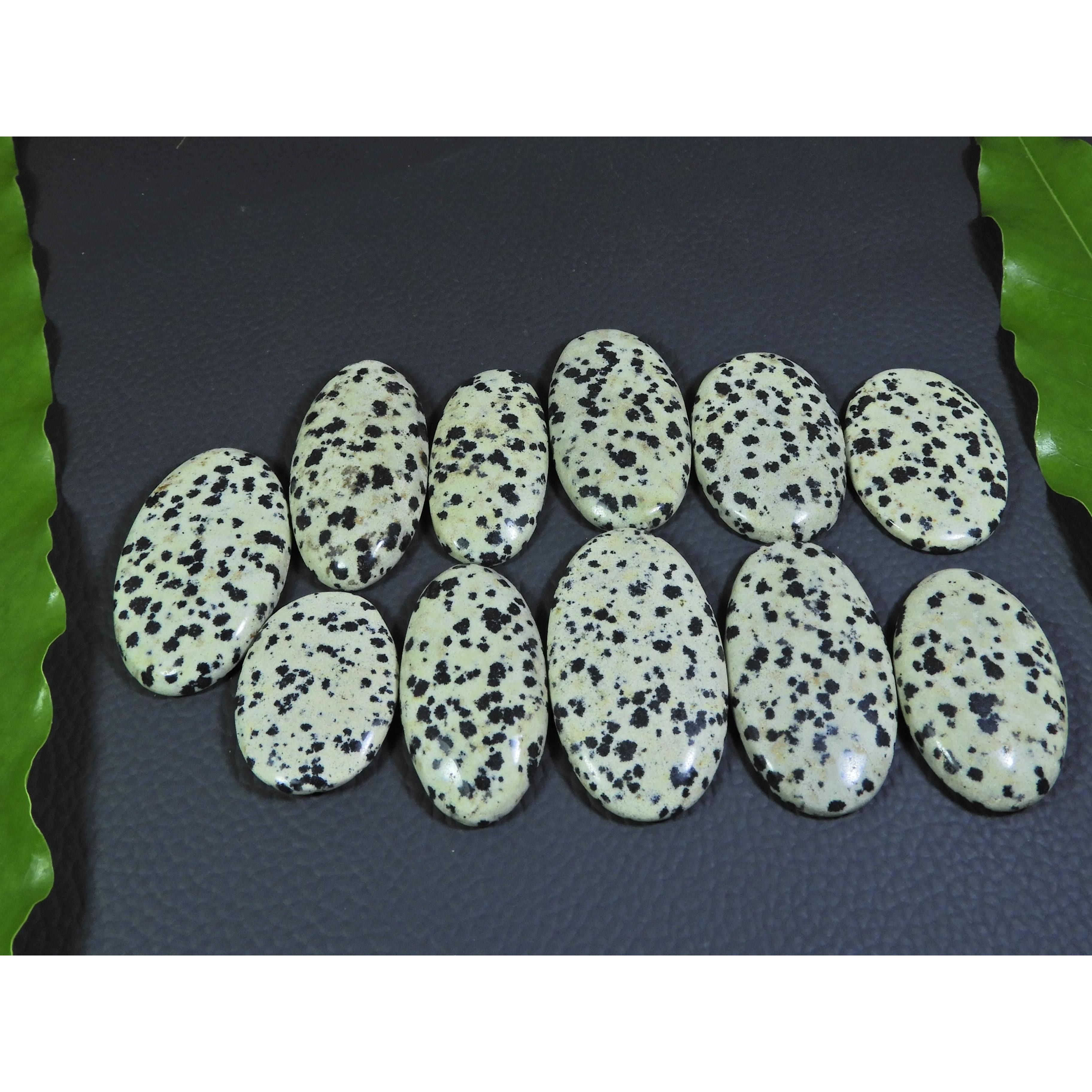 

406Cts. Natural Dalmation Jasper Oval Cabochon Loose Gemstone 11 Pcs Lot A-383