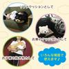 Traveling Mameshiba Body Body Soft and Cute Dog Shiba Mameshiba Pillow, Cushion, Pillow, Fluffy, Figurine, Inu, (White, Mameko)