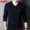 Hengyuanxiang Men's 100% Pure Wool V-Neck Sweater HJ198