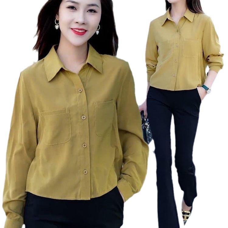 Women's Fashion Slim-Fit Long Sleeve Blouse - Early Autumn 2024
