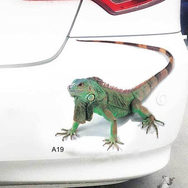 Hochwertige 3D Autoaufkleber mit coolen Spinnenmotiven für eine einzigartige Dekoration