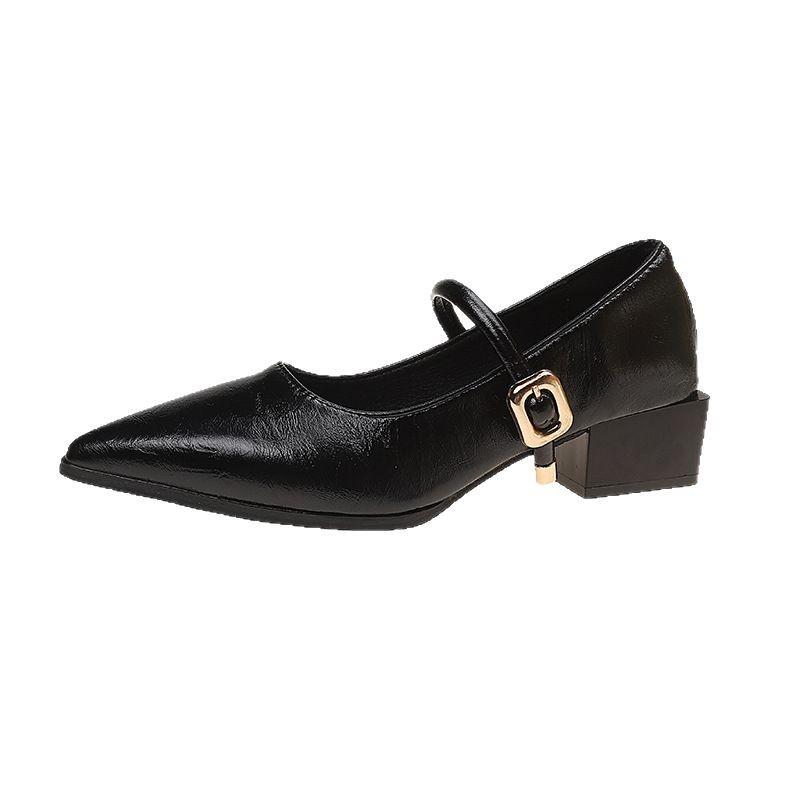 Thick Heel Design Sense Niche Shallow Mouth Single Shoes Women's Spring and Autumn New Pointed High Heel Mary Jane Small Leather Shoes
