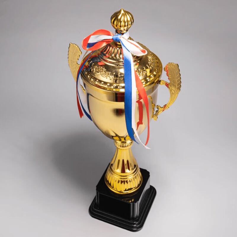 Champion's Sports Award Trophy
