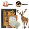 Male Body Care Yang Kidney Warming And Navel Patch To Relieving Prostate Discomfort