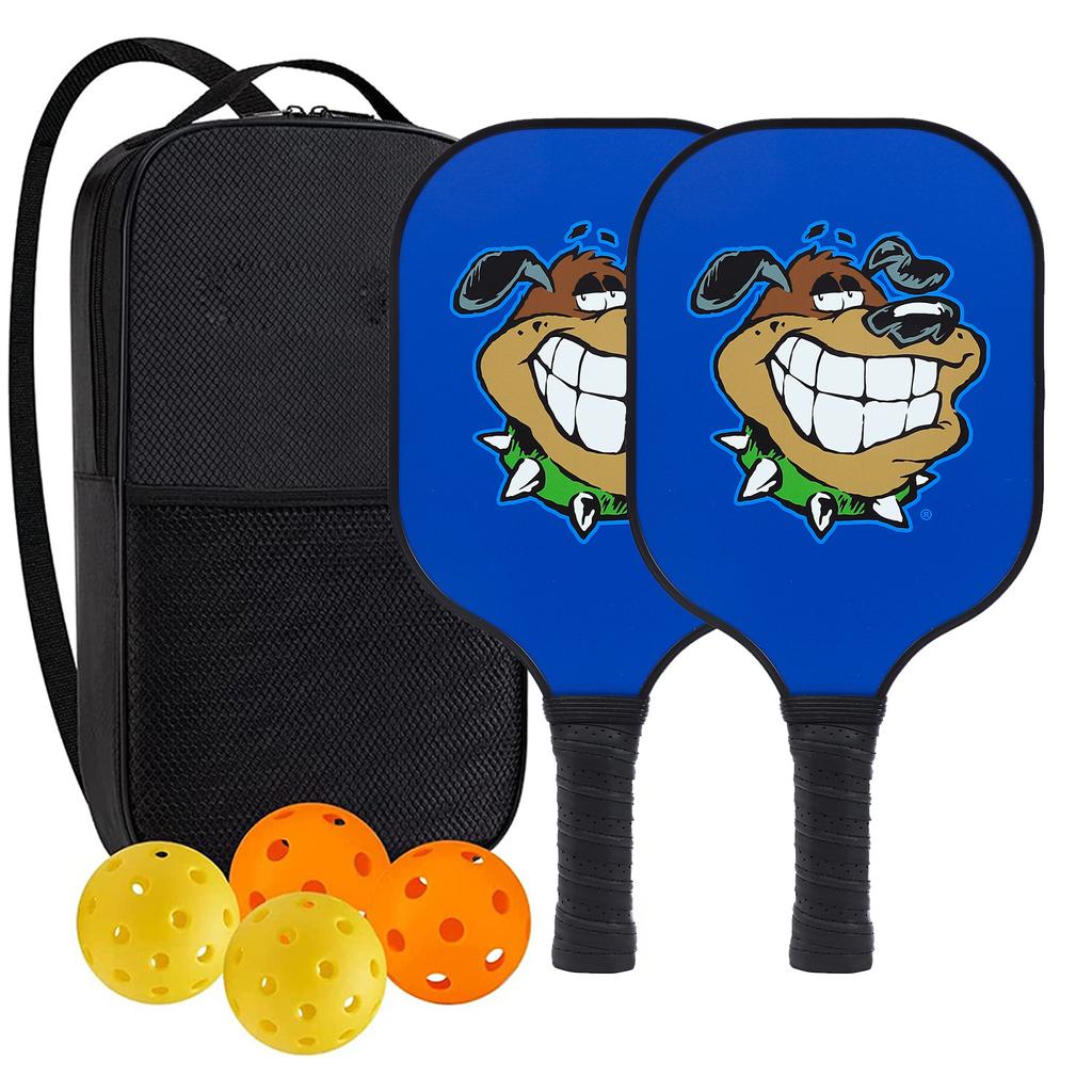 Pickleball-Shot Cartoon Animal Beach Rackets Outdoor Sports 40-Hole Pickleball Glass Fiber Suction Ball Set