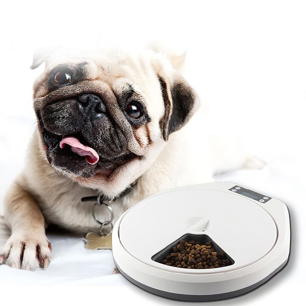 5 meal automatic pet feeder