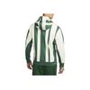 Nike Dri-Fit Striped Pullover Hoodie Gorge Green FD5395-341
