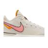 Nike Zoom LeBron NXXT Gen 'Da Vinci' (Unisex) Light Orewood Brown / Coral Chalk / Sesame / Sail Basketball Shoes DR8784 100