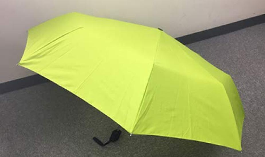 Popondetta Folding Design Umbrella JNR 6000 Series Container