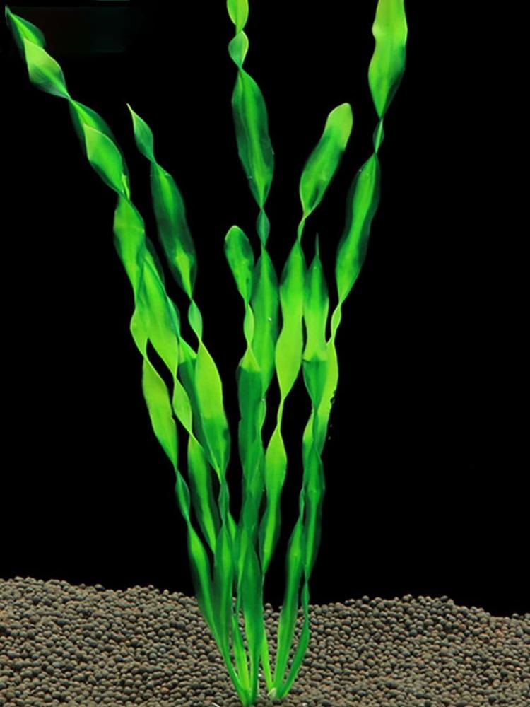 5 Pcs Artificial Seaweed for Aquarium Plastic Plant Decorations Multicolor Artificial Fish Tank Ornament Grass