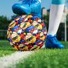 Miraculous Theme Size 5 Soccer Ball, Suitable for Both Indoor and Outdoor Matches, a Gift Suitable for Everyone.