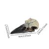Halloween Raven Skull Decor Halloween Decor for Party Window Sill Home