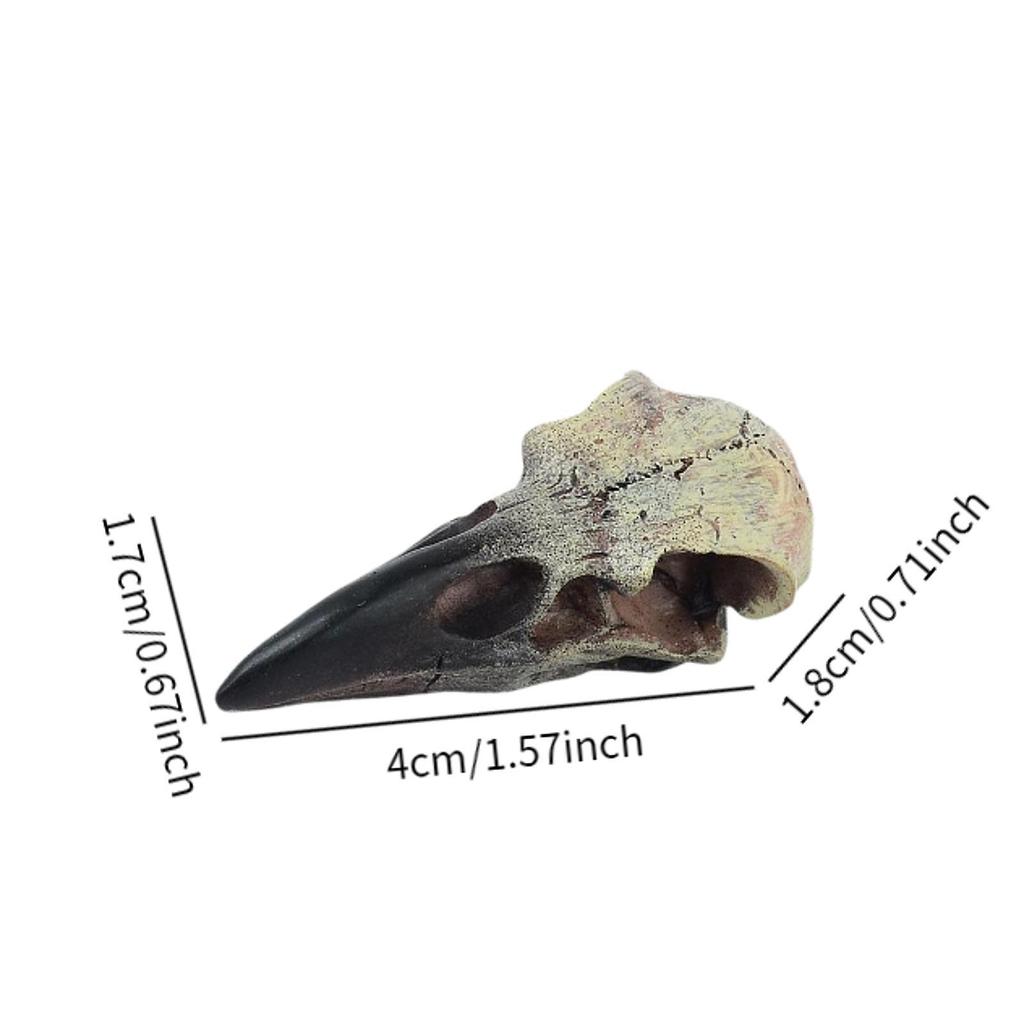 Halloween Raven Skull Decor Halloween Decor for Party Window Sill Home