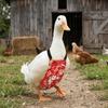 Adjustable Duck Diapers Breathable Chicken Physiological Pants Flight Suits Goose Duck