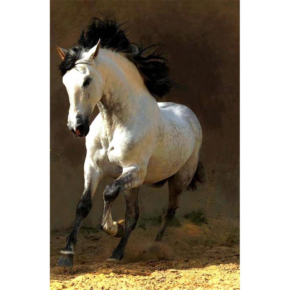 

5D DIY животные алмазная живопись горный хрусталь фотографии полная круглая Алмазная вышивка мозаика подарок вышивка крестиком домашний декор комплект Full Round 20x30CM