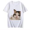 Muster Gedruckt Lustige Meme Katzen T-Shirt Unisex Kawaii Lässiges T-Shirt Kurzärmelig Rundhals T-Shirt Sommer Cartoon T-Shirt