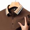 Spring and Autumn New Men's Long-Sleeved T-shirt Solid Color Bottoming Shirt Young and Middle-Aged Thin Menswear Lapel Loose Polo Shirt Fashion