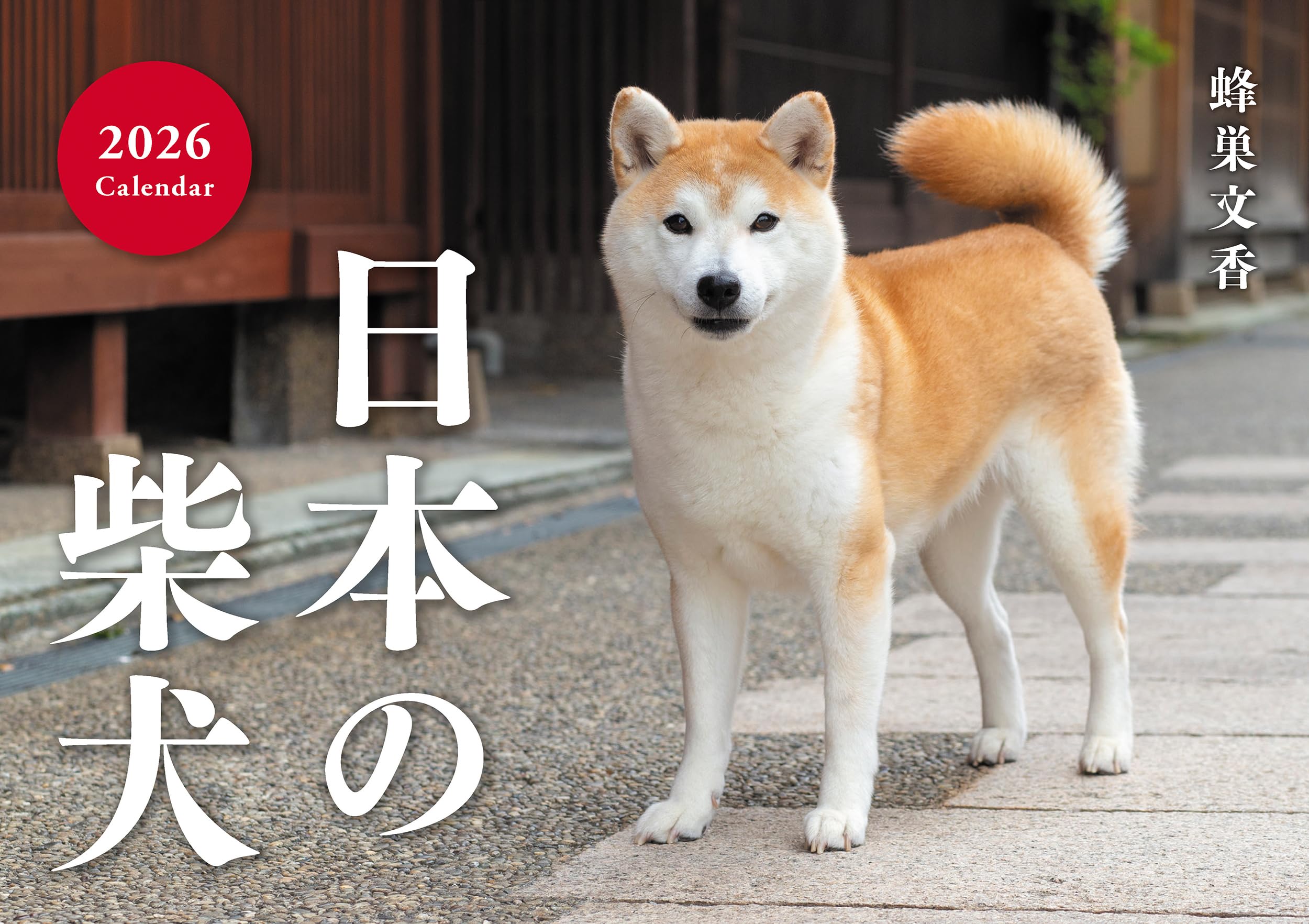 

Japanese Shiba Inu Calendar 2026 (Wall Hanging) (Calendar)