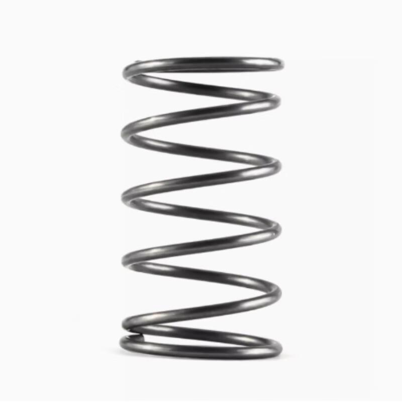 DIAIEN DAN-YS 304 Stainless Steel Compression Spring 1 Piece
