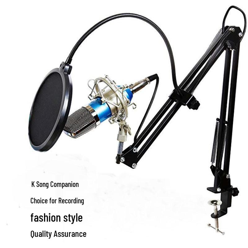 BM700 Large Diaphragm Condenser Microphone with External Sound Card for Computer Recording and MC Hosting