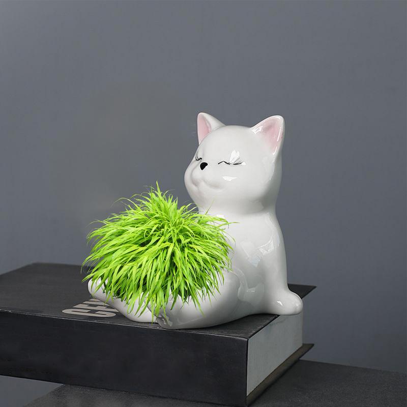 Blumentöpfe für Sukkulenten Keramik Klein Katzenform Pflanzgefäße Dekorative Wohnaccessoires Pflanzenübertopf für Balkon Schreibtisch