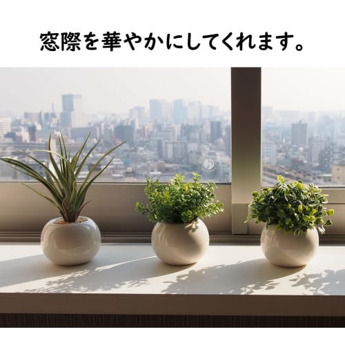 Mini Artificial Greenery Set of 3: Eucalyptus, Air Plants, and Fan-Shaped Greenery
