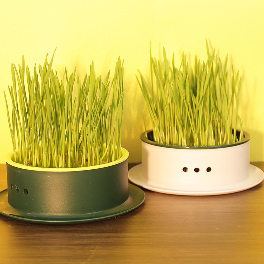 

2 шт. беспочвенный гидропонный набор для кошачьей травы чашка удобный набор для выращивания растений горшок для дома 12.50X12.50X4.00CM