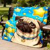 1pc Pug StarryOutdoor Blanket, Soft And Comfortable Blanket, Casual Warm Outdoor Blanket, Good Birthday Gift yy260328068