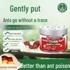 Non-Toxic German Ant Bait - Highly Effective Indoor Termite & Argentine Ant Control with Fipronil