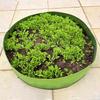 Circular Large Felt Fabric Garden Grow Bags Planting Pot Outdoor Yard Garden Vegetable Field Bed Garden Nursery Bag Planters