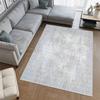 Washable Printed Carpet RVG1951-SM493