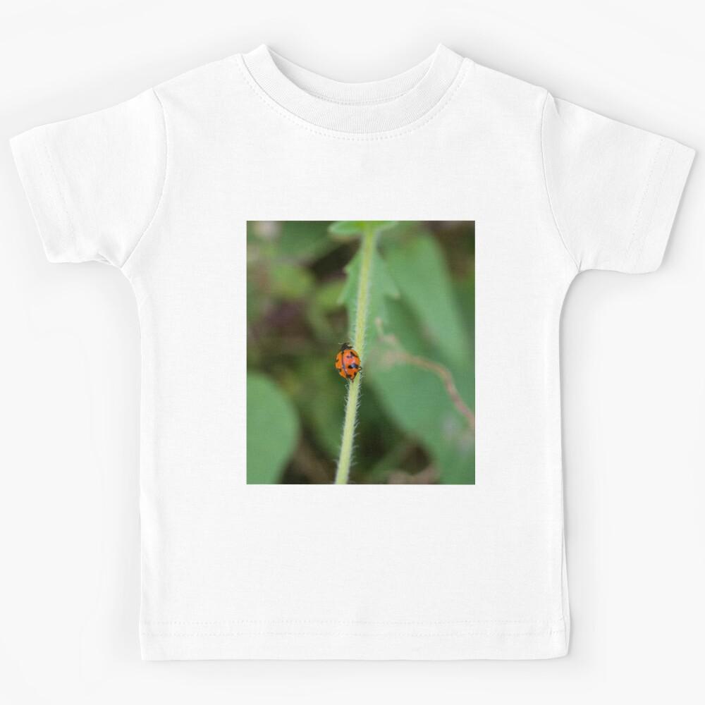 Ladybird Beetle Kids T-Shirt 140