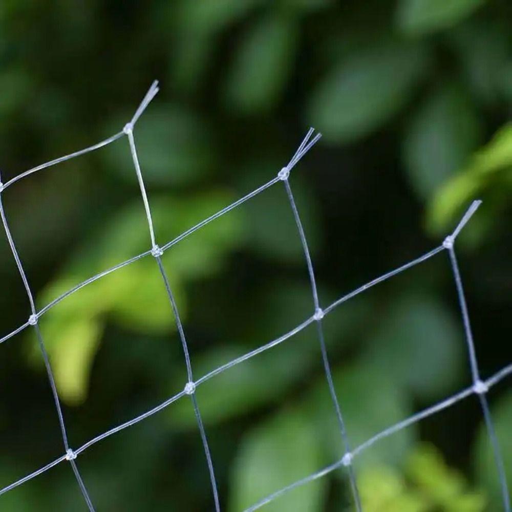 4-10m Vogelschutznetz Insektenschutz Pflanzenschutzabdeckungen Obstbaumnetze Gemüse