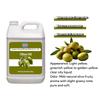 Wholesale Bulk 100% Pure Natural Cold Pressed Liquid Olive Oil for Hair Care & Cosmetic & Massage