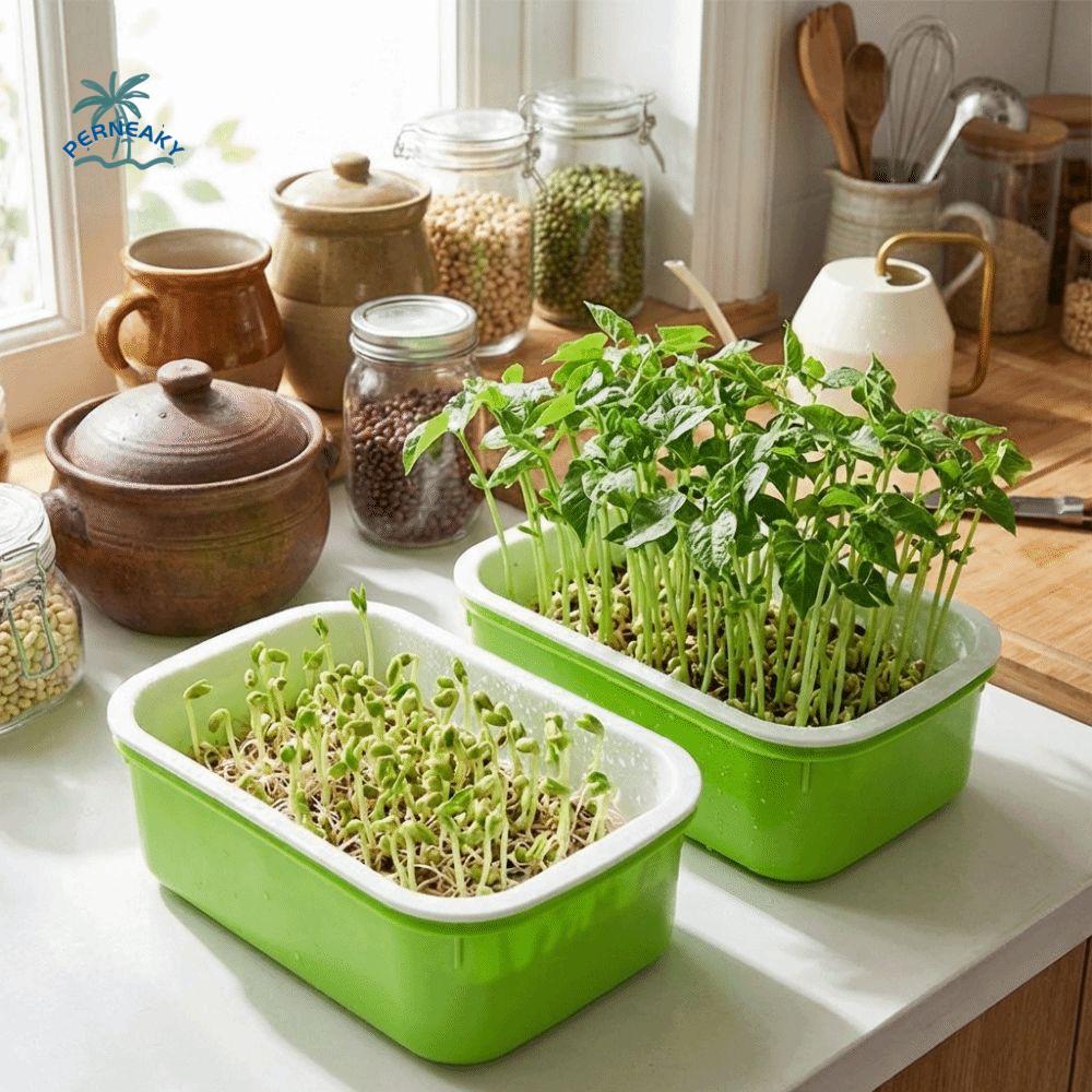 2Pcs Double Layer Germination Tray Plastic Cultivation Pot Soil-Free Nursery Pots High Ventilation Grid Design Sprout Tray