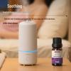 12-Piece Aromatherapy Essential Oil & Humidifier Set for Home and Car