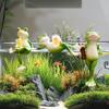 Frog Resin Flower Pot Ornament for Garden & Fish Tank Decor