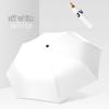 Accessoires – Paraplu's