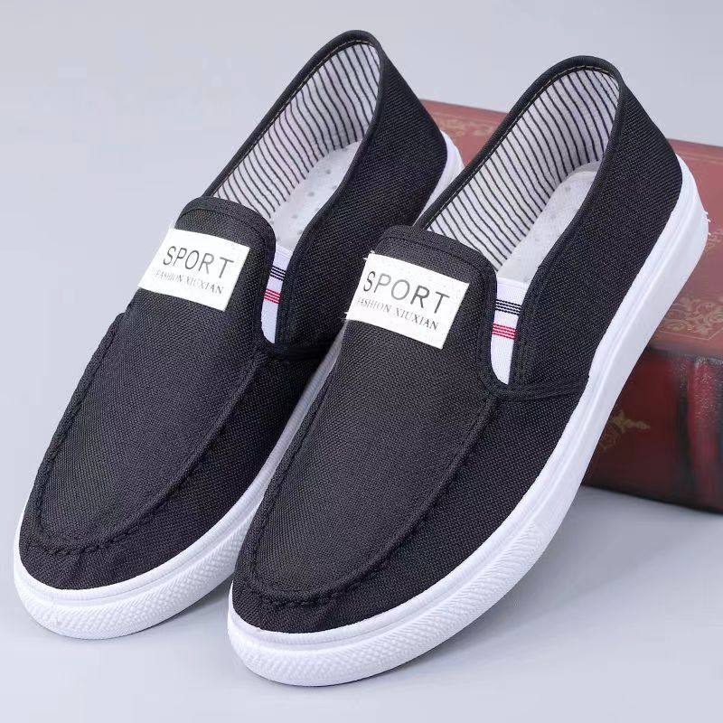 New Cloth Shoes Men's Spring and Autumn Single Shoes Casual Shoes Light and Comfortable Versatile Board Shoes Men